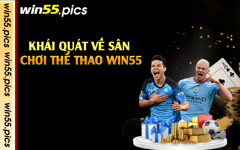 Khái quát về sân chơi thể thao Win55